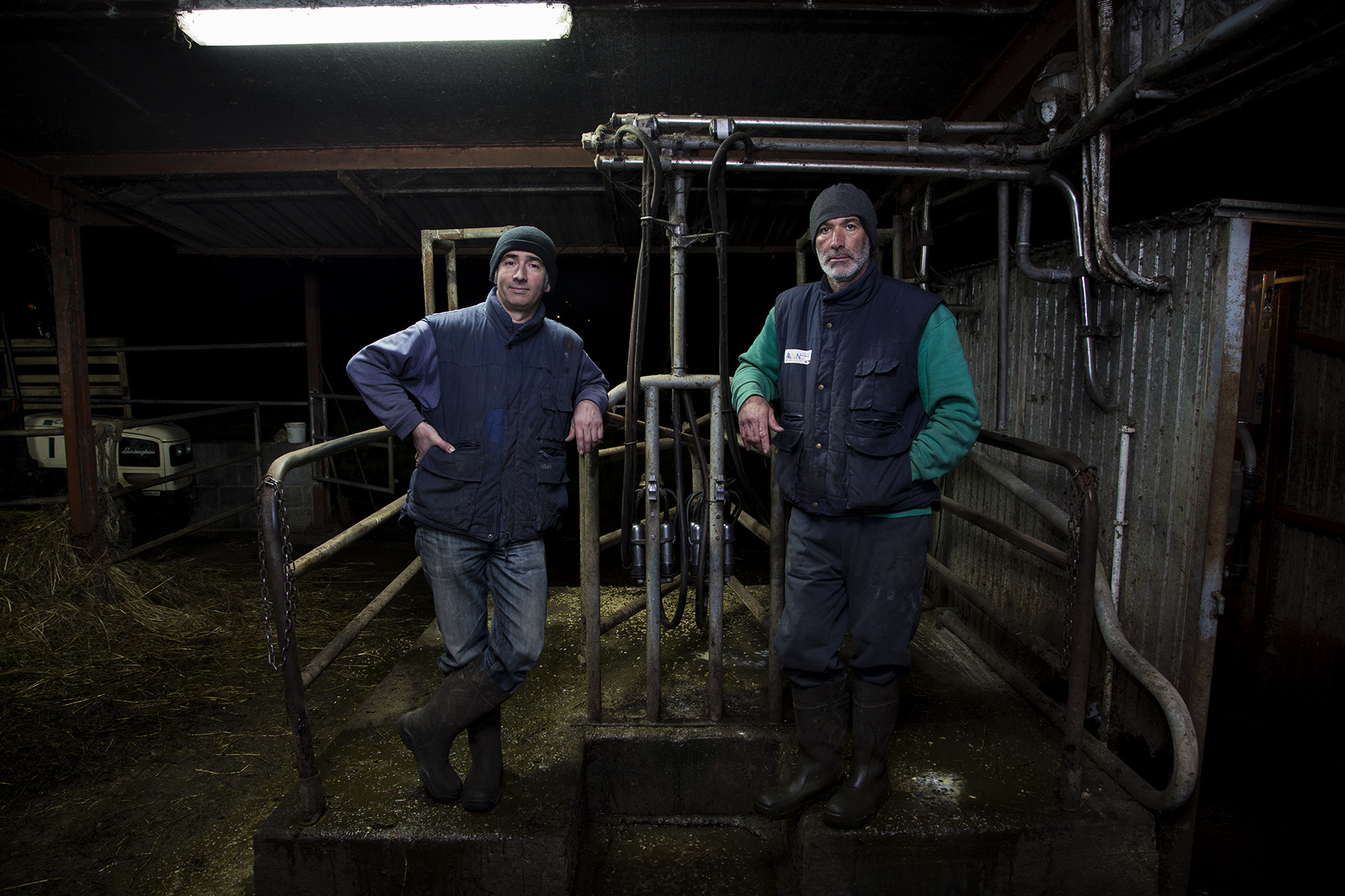 Productos ecológicos de Asturias yogures y arroz con leche