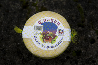 Queso cuayau de Peñamellera queso artesano de asturias